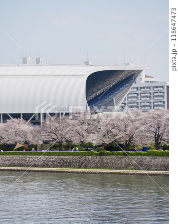 桜咲く広島市街地とエディオンピースウィング広島 桜咲く広島市街地とエディオンピースウィング広島 118647473