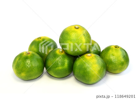 みかん(服部早生) みかん(服部早生) 118649201