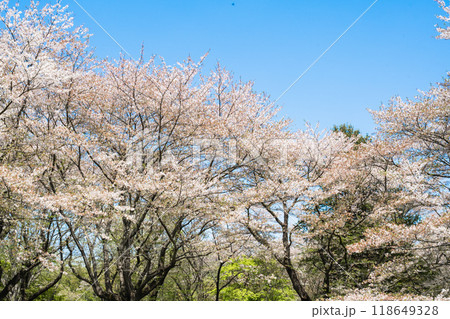 四月 ４月 4月 118649328