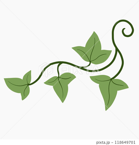 Floral ivy drawing decorative ornament flat design. 118649701