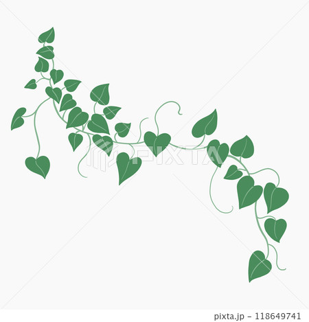 Floral ivy drawing decorative ornament flat design. 118649741