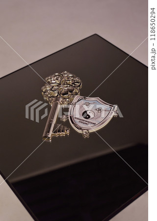 Subject photo shoot of accessories - keys, heart, butterfly, squirrel 118650294
