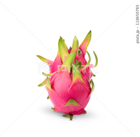 Dragon fruit isolated on white background Dragon fruit isolated on white background 118650765