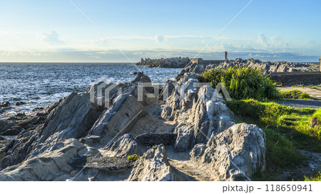 夏の城ヶ島　灘ヶ崎の岩石海岸の風景【神奈川県・三浦市】 118650941