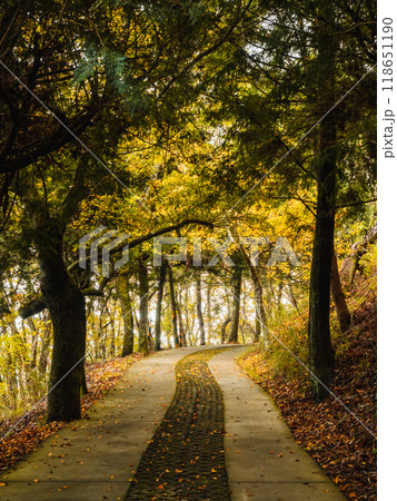 秋 あき 秋の 118651190