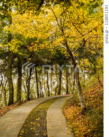 秋 あき 秋の 118651191