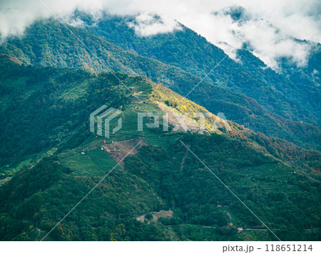 自然 天然 ナチュラル 118651214