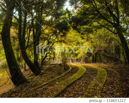 秋 あき 秋の 118651227