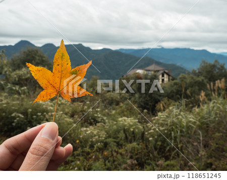 秋 あき 秋の 118651245