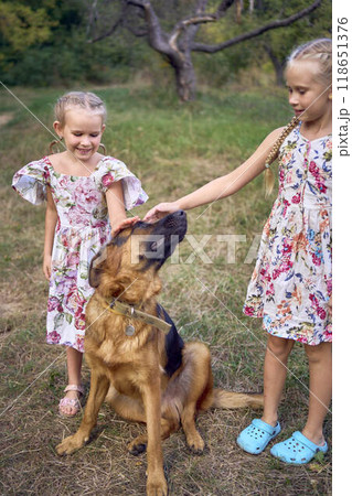 little girls sisters play with german shepherd dog during easter picnic in the garden 118651376