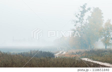 Autumn foggy landscape, soil winding path along the field 118651840