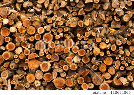 The background is made of firewood 118651869