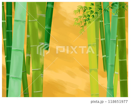 竹林 竹林 118651977