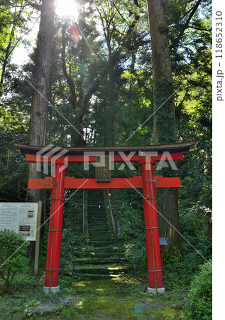 埼玉県小鹿野町伊豆沢の史跡　文殊堂と諏訪神社 118652310