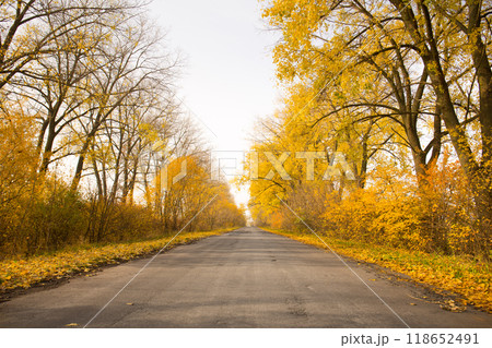 Beautiful autumn landscape along an empty country road 118652491