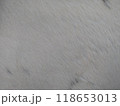 Fur background of animal white color horizontal 118653013