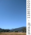 View of Hoverla Mountain in the Carpathians from the countryside grows green grass and a design for drying grass vertical 118653020