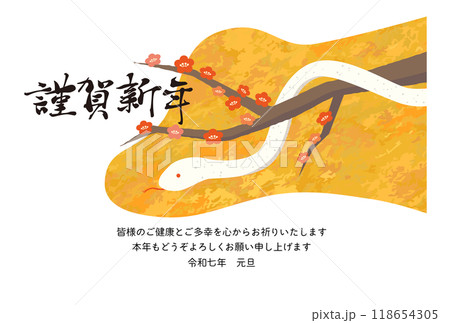 2025年 巳年の年賀状イラスト 2025年 巳年の年賀状イラスト 118654305