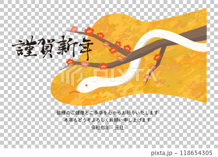 2025年 巳年の年賀状イラスト 2025年 巳年の年賀状イラスト 118654305