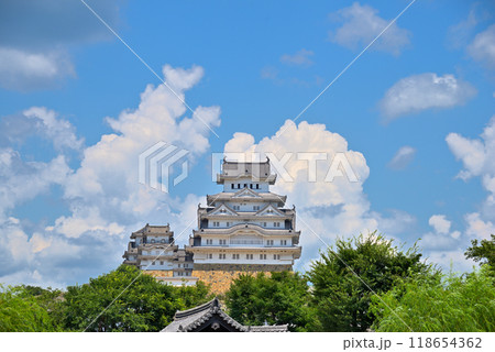 《兵庫県》姫路市大手前通りから見る姫路城 118654362