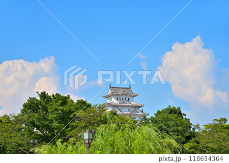 《兵庫県》姫路市大手前通りから見る姫路城 118654364