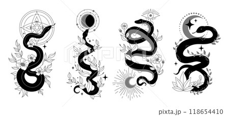 Mystical snakes. Snake black logo esoteric occult symbols, serpent and moon star tattoo spiritual celestial magic witch boho elements trendy astrology ingenious vector illustration 118654410