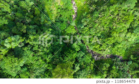 mountain river flows in the tropical jungle aerial view mountain river flows in the tropical jungle aerial view 118654479