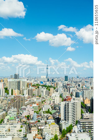 【東京都】スカイツリーのある都市風景 【東京都】スカイツリーのある都市風景 118655635