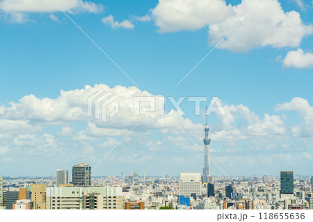 【東京都】スカイツリーのある都市風景 118655636