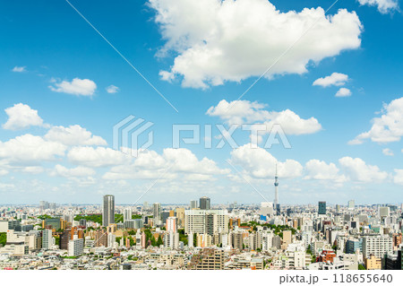 【東京都】スカイツリーのある都市風景 118655640