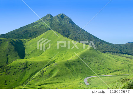 新緑の由布岳 新緑の由布岳 118655677