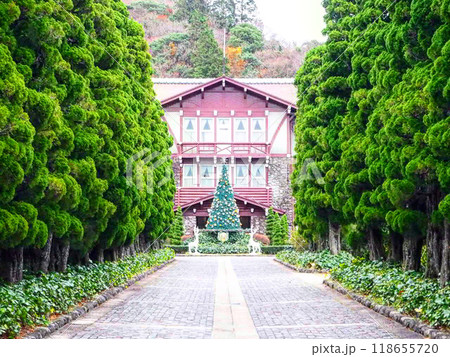 クリスマス 118655720