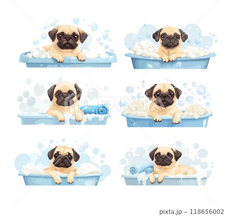 Cartoon pug pet grooming scenes. Funny dog in bath with foam soap bubbles and towel, cleaning washing care service for animals, puppy shower water relax isolated vector illustrations 118656002