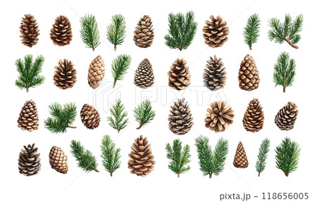 Cartoon pine cones and branches. Fir shell timber wooden seeds green needles christmas tree nature elements, xmas holiday symbols isolated vector set on white background 118656005