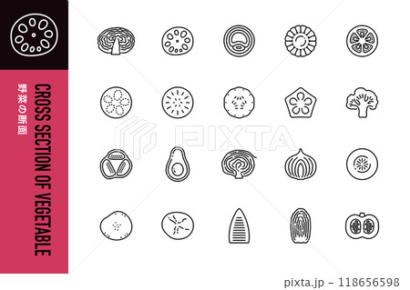 野菜の断面のシンプルなラインアイコン 118656598