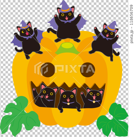 Halloween_Black cats and pumpkins_Three dancing black cats and three black cats peeking through a pumpkin window 118656709
