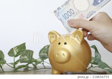 1000円札を豚の貯金箱に入れる 1000円札を豚の貯金箱に入れる 118656755