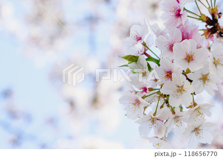 四月 ４月 4月 118656770