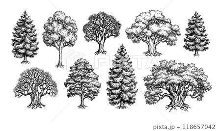 Collection of forest trees. Collection of forest trees. 118657042