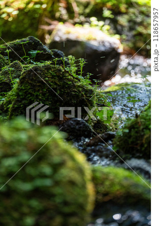 【庄内の風景】遊佐町_胴腹滝 118657957