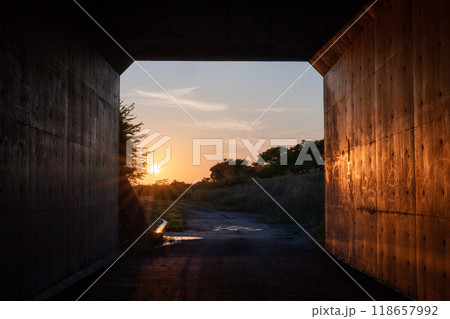 【庄内の風景】夕陽とトンネル 118657992