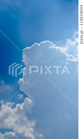 空素材（縦構図） 118658044