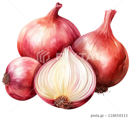 Onion 118658313