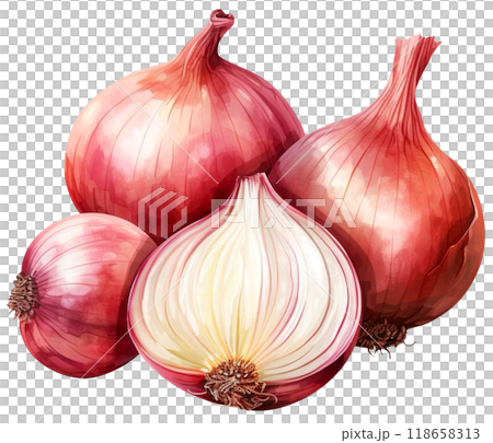Onion 118658313