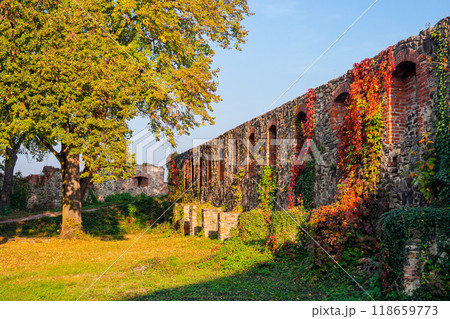 uzhhorod, ukraine - 12 oct 2008: stone castle wall in evening light. urban scenery in autumn. ivy plant and colorful foliage. inner courtyard. popular travel destination 118659773