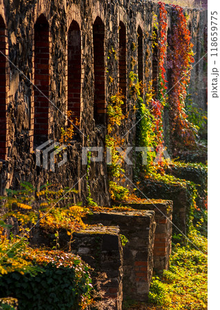 uzhhorod, ukraine - 12 oct 2008: stone castle wall in evening light. urban scenery in autumn. ivy plant and colorful foliage. inner courtyard. popular travel destination uzhhorod, ukraine - 12 oct 2008: stone castle wall in evening light. urban scenery in autumn. ivy plant and colorful foliage. inner courtyard. popular travel destination 118659775