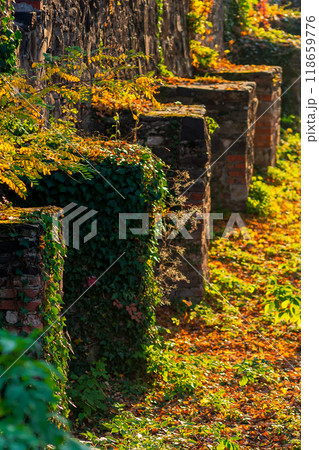 uzhhorod, ukraine - 12 oct 2008: stone castle wall in evening light. urban scenery in autumn. ivy plant and colorful foliage. inner courtyard. popular travel destination 118659776