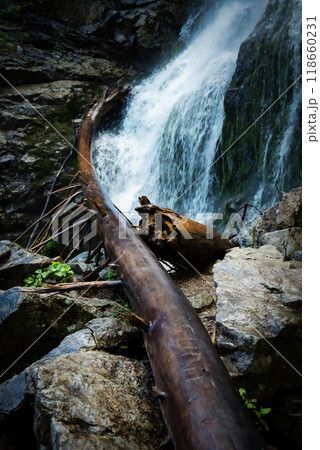 old wood leans against a rock below a waterfall old wood leans against a rock below a waterfall 118660231