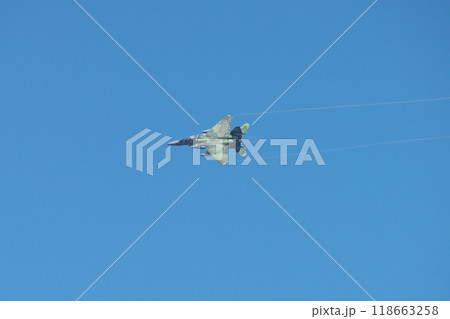 小松基地航空祭事前訓練 118663258