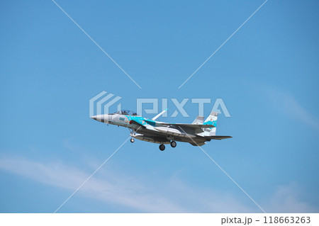 小松基地航空祭事前訓練 118663263